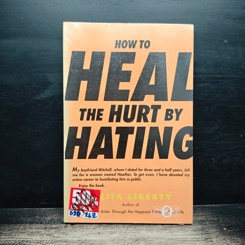 How to Heal the Hurt by Hating - Anita Liberty รูปที่ 1