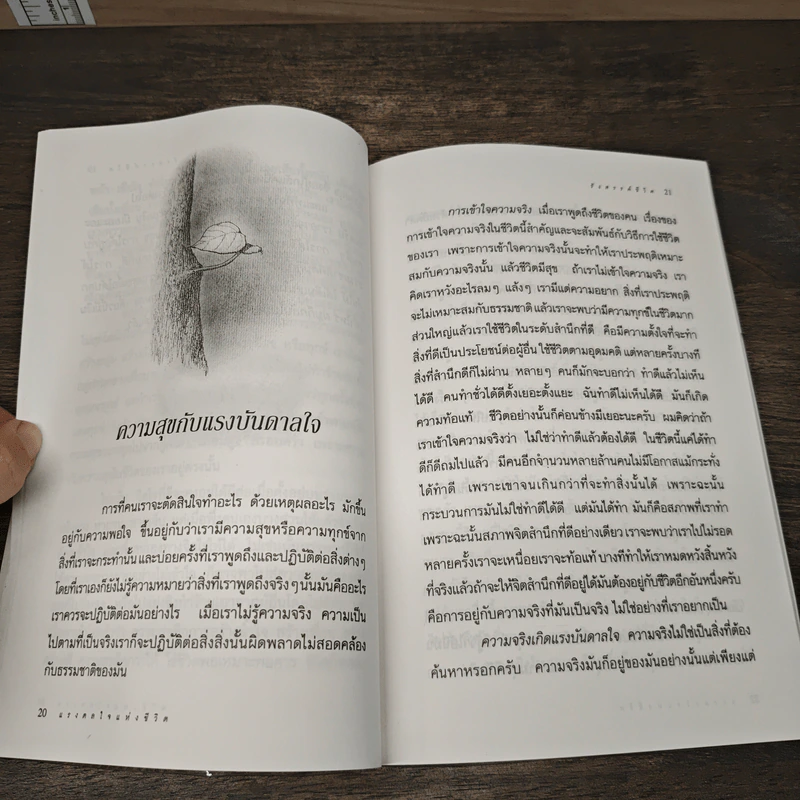 แรงดลใจแห่งชีวิต - โสภณ สุภาพงษ์ รูปที่ 8
