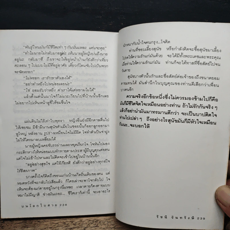 บนโลกใบสวย - รัชนี จันทรังษี รูปที่ 8