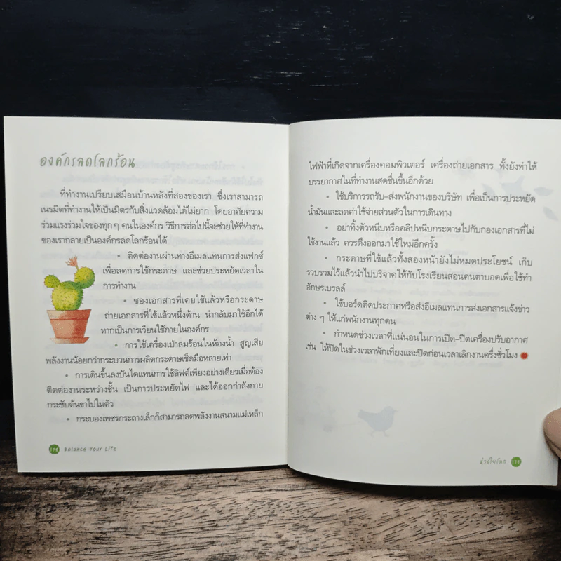 Balance Your Life สมดุลกาย สมดุลใจ ห่วงใยโลก รูปที่ 11