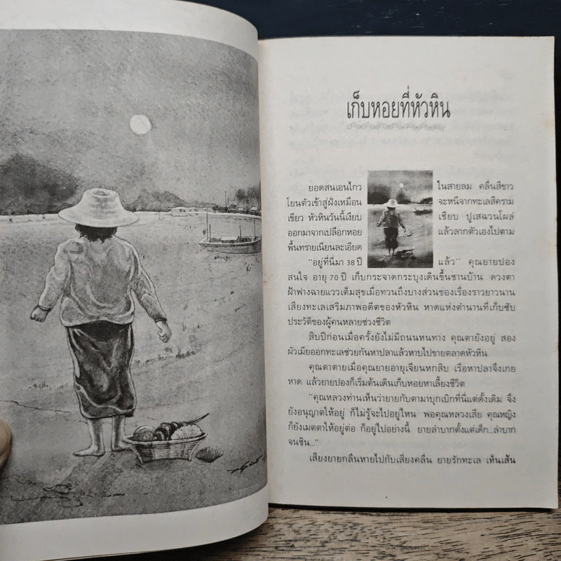 อยากให้เป็นอย่างนี้ทุกวัน - นิรมล เมธีสุวกุล รูปที่ 8