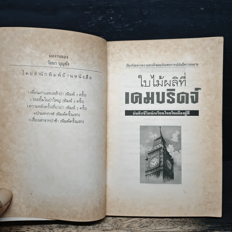ใบไม้ที่เคมบริดจ์ - วัธนา บุญยัง รูปที่ 6