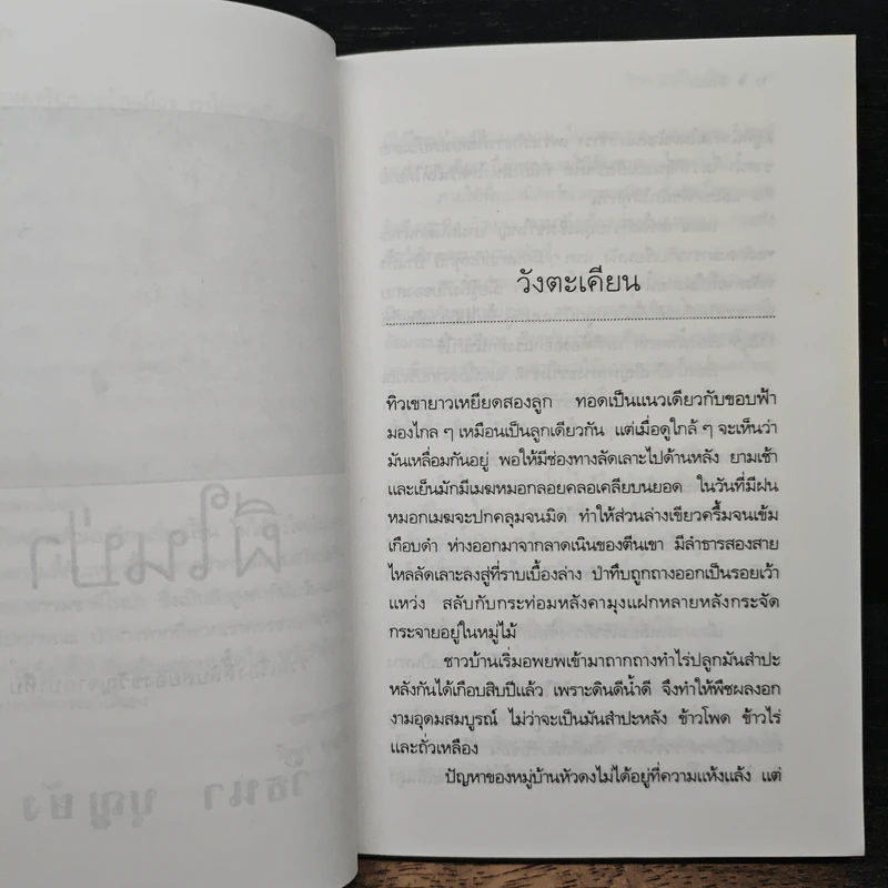 ผีในป่า - วัธนา บุญยัง รูปที่ 7