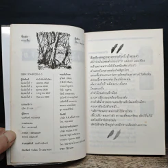 ทางเสือ - ศิลา โคมฉาย รูปที่ 6