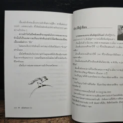 สาน ความ คิด - บ.สันติสุข รูปที่ 9