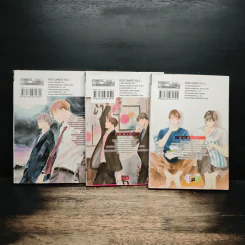 การ์ตูนวาย คืนนี้มีฉันกับนาย 3 เล่มจบ รูปที่ 2