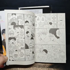 การ์ตูนวาย ขอเพียงรักมาพักใจ 3 เล่มจบ รูปที่ 10