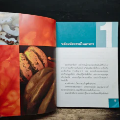 พลังมหัศจรรย์ในอาหาร - เภสัชกรสรจักร ศิริบริรักษ์ รูปที่ 8