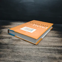 Anatomy of a Trend - Henrik Vejlgaard รูปที่ 4