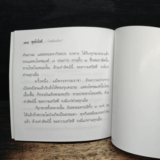 ยอดแห่งความสุข - ท่านพุทธทาส อินทปัญโญ รูปที่ 7