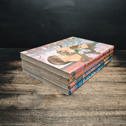 เริ่มต้นใหม่กับใจดวงเดิม เล่ม 1-4 รูปที่ 4