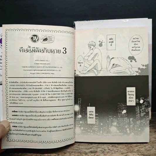 การ์ตูนวาย คืนนี้มีฉันกับนาย 3 เล่มจบ รูปที่ 9