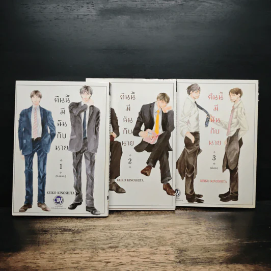 การ์ตูนวาย คืนนี้มีฉันกับนาย 3 เล่มจบ รูปที่ 1