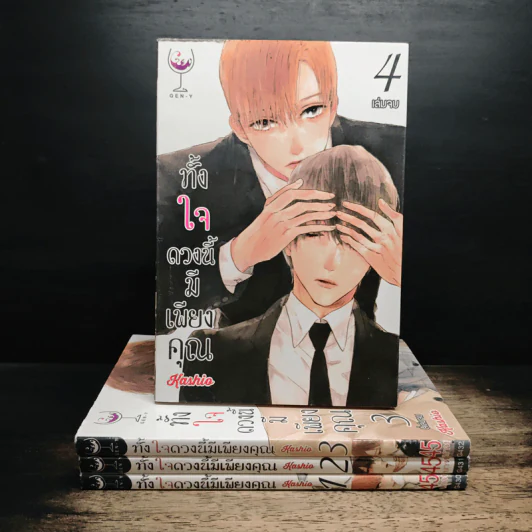 ทั้งใจดวงนี้มีเพียงคุณ 4 เล่มจบ - Kashio รูปที่ 1