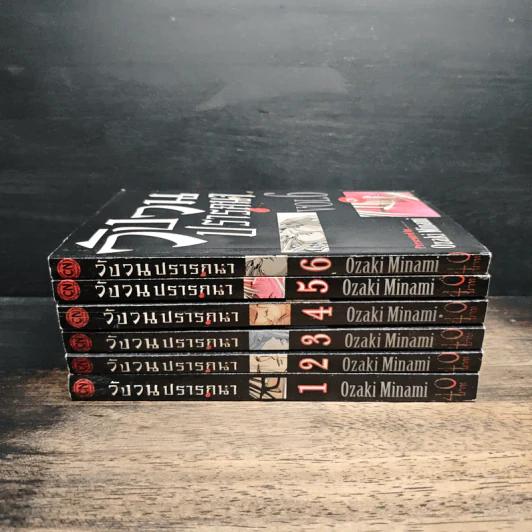 วังวนปรารถนา เล่ม 1-6 รูปที่ 2