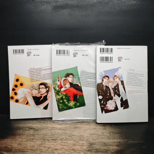 รักวุ่นวายของนายซินเดอเรลล่า 3 เล่มจบ รูปที่ 2