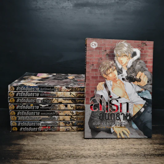 การ์ตูนวาย ล่ารักอันตราย เล่ม 1-9 รูปที่ 1