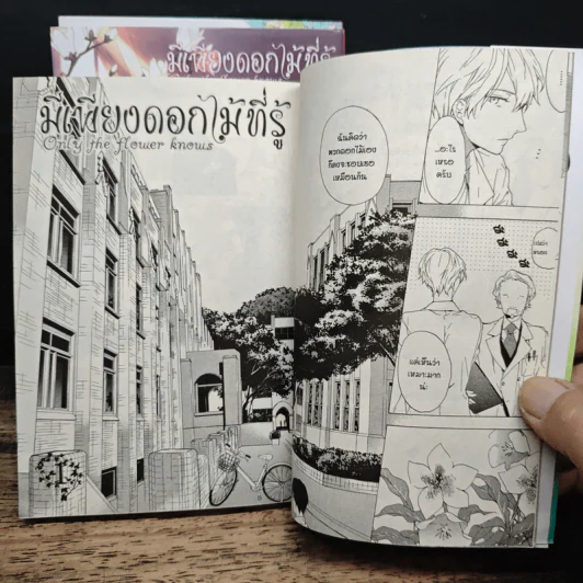 การ์ตูนวาย มีเพียงดอกไม้ที่รู้ 3 เล่มจบ รูปที่ 8