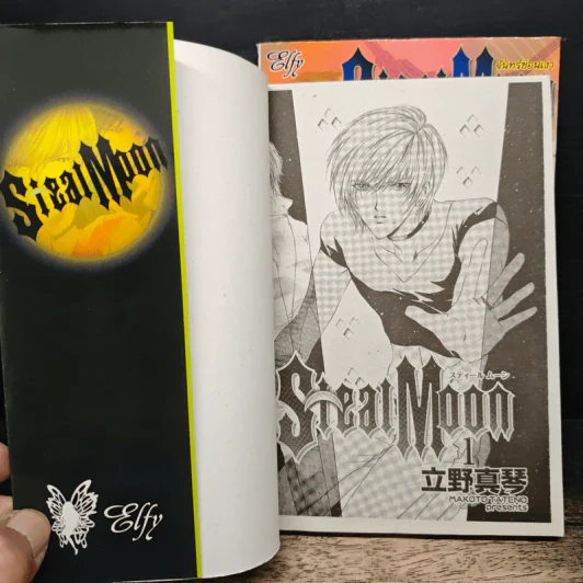 Steal Moon จันทร์ซ่อนเงา 2 เล่มจบ รูปที่ 6