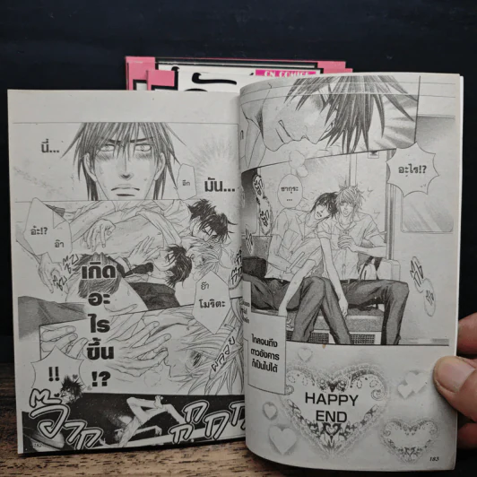 การ์ตูนวาย จัดเต็มหัวใจนายโอตาคุ 4 เล่มจบ รูปที่ 8