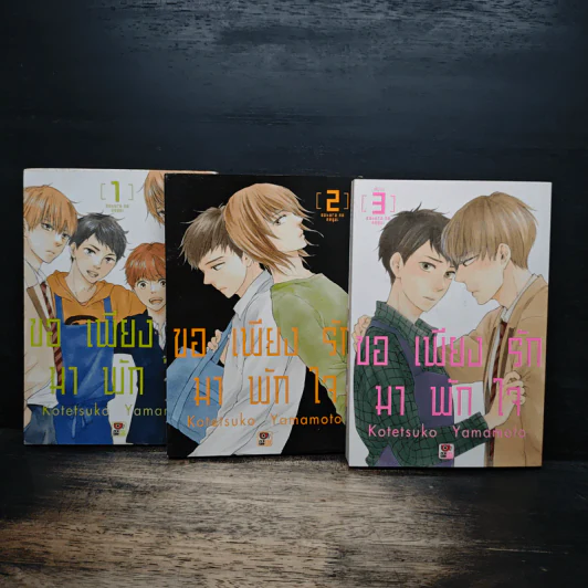 การ์ตูนวาย ขอเพียงรักมาพักใจ 3 เล่มจบ รูปที่ 1