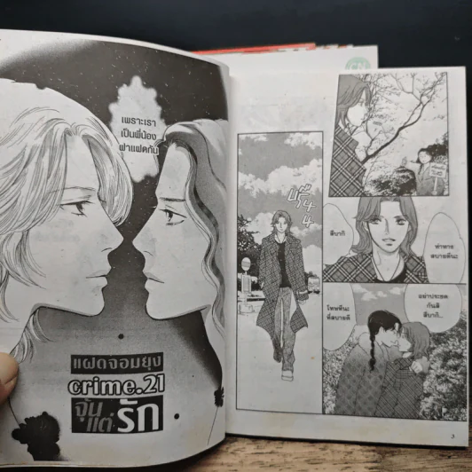 แฝดจอมยุ่งจุ้นแต่รัก เล่ม 1-6 รูปที่ 6