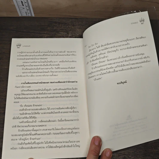 นางหงส์ - ฉางเยว่ รูปที่ 8