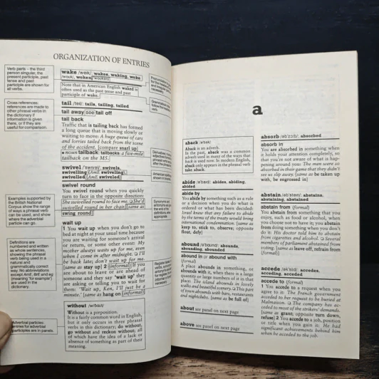 Chambers Dictionary of Phrasal Verbs รูปที่ 7