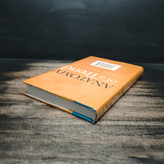 Anatomy of a Trend - Henrik Vejlgaard รูปที่ 5