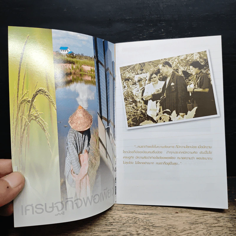 เศรษฐกิจพอเพียง ปรัชญาชี้ถึงแนวทางการดำรงชีวิต รูปที่ 6