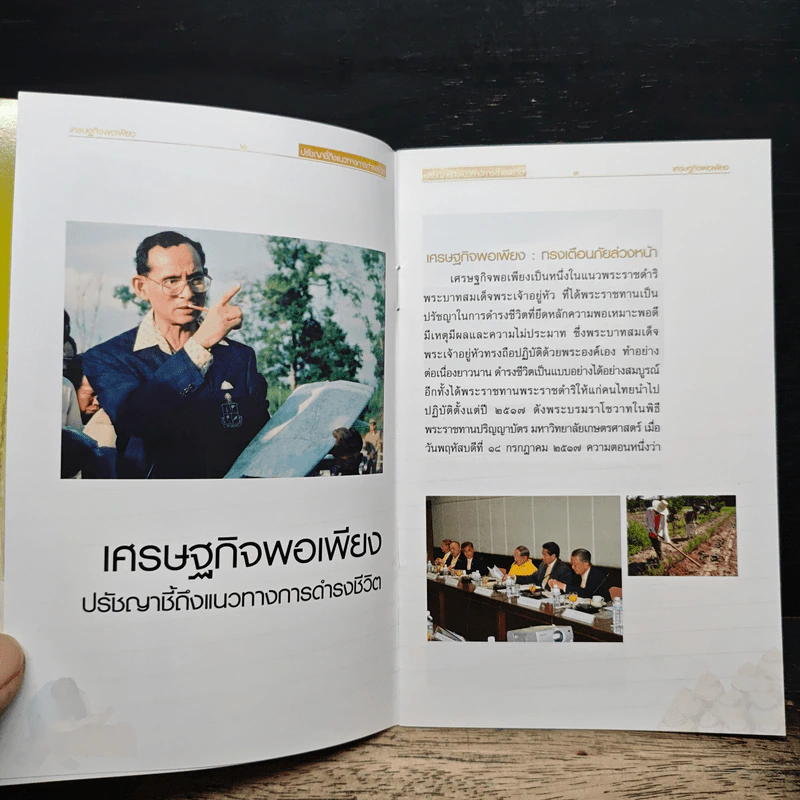 เศรษฐกิจพอเพียง ปรัชญาชี้ถึงแนวทางการดำรงชีวิต รูปที่ 7