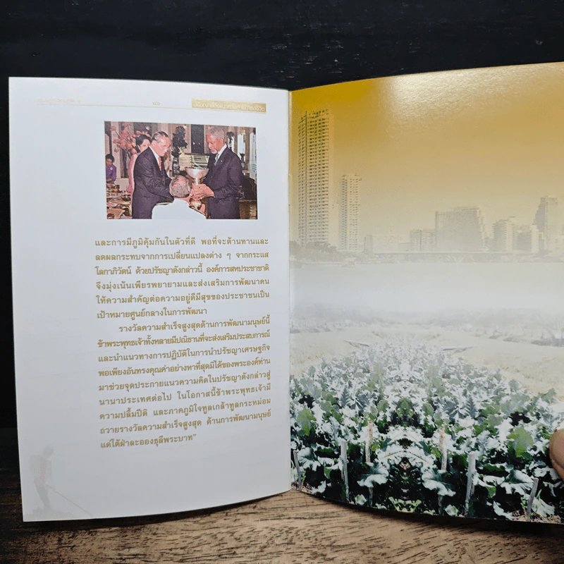 เศรษฐกิจพอเพียง ปรัชญาชี้ถึงแนวทางการดำรงชีวิต รูปที่ 8