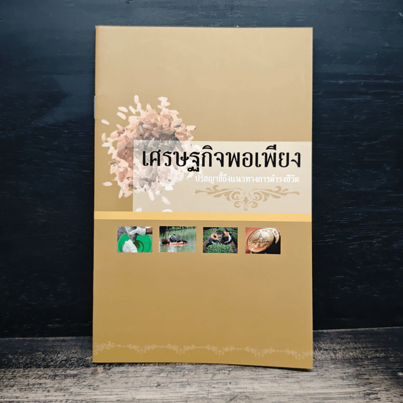 เศรษฐกิจพอเพียง ปรัชญาชี้ถึงแนวทางการดำรงชีวิต รูปที่ 1