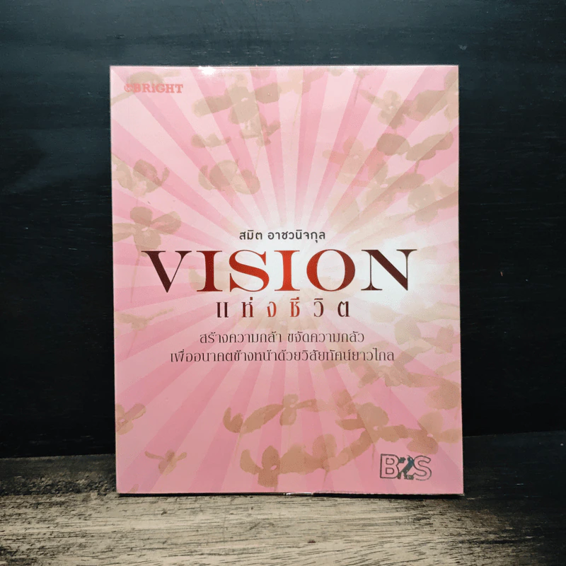 Vision แห่งชีวิต รูปที่ 1