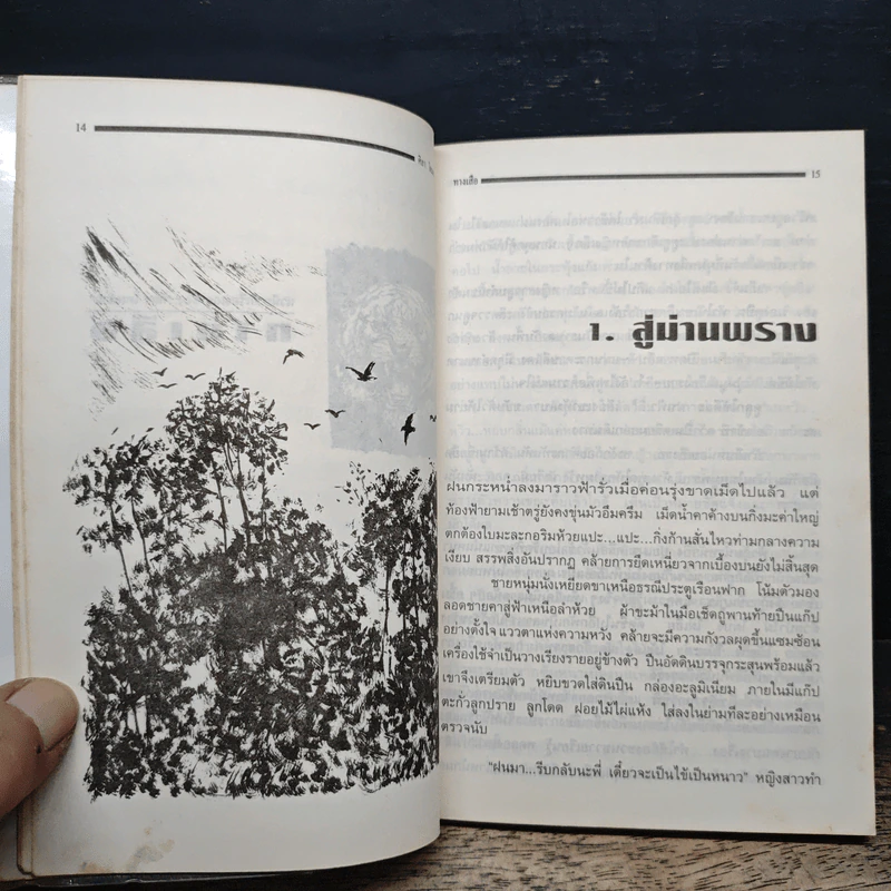 ทางเสือ - ศิลา โคมฉาย รูปที่ 7