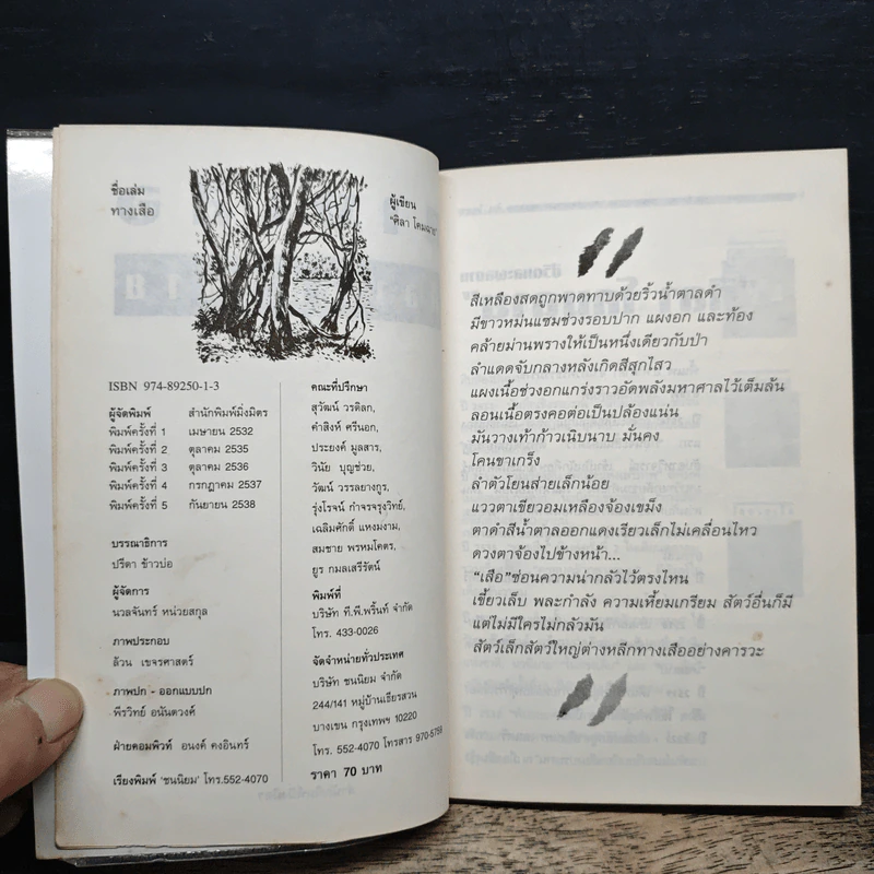 ทางเสือ - ศิลา โคมฉาย รูปที่ 6