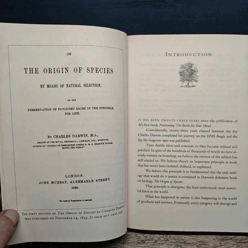 The Origin of Brands - Al Ries, Laura Ries รูปที่ 7