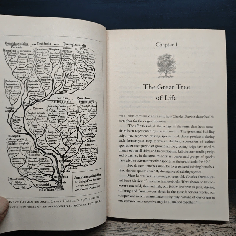 The Origin of Brands - Al Ries, Laura Ries รูปที่ 8