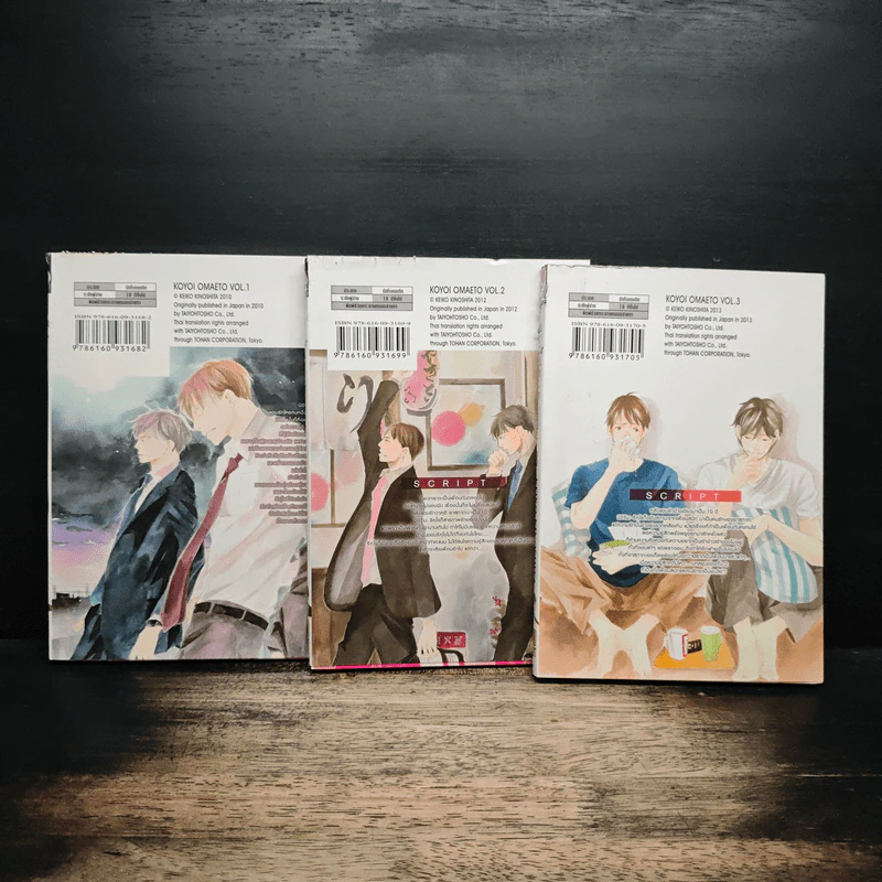 การ์ตูนวาย คืนนี้มีฉันกับนาย 3 เล่มจบ รูปที่ 2