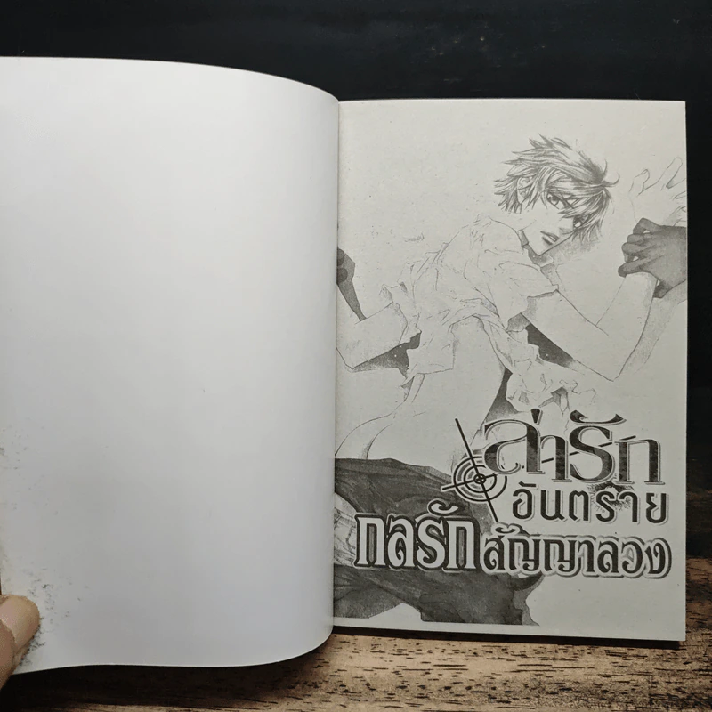 การ์ตูนวาย ล่ารักอันตราย เล่ม 1-9 รูปที่ 5
