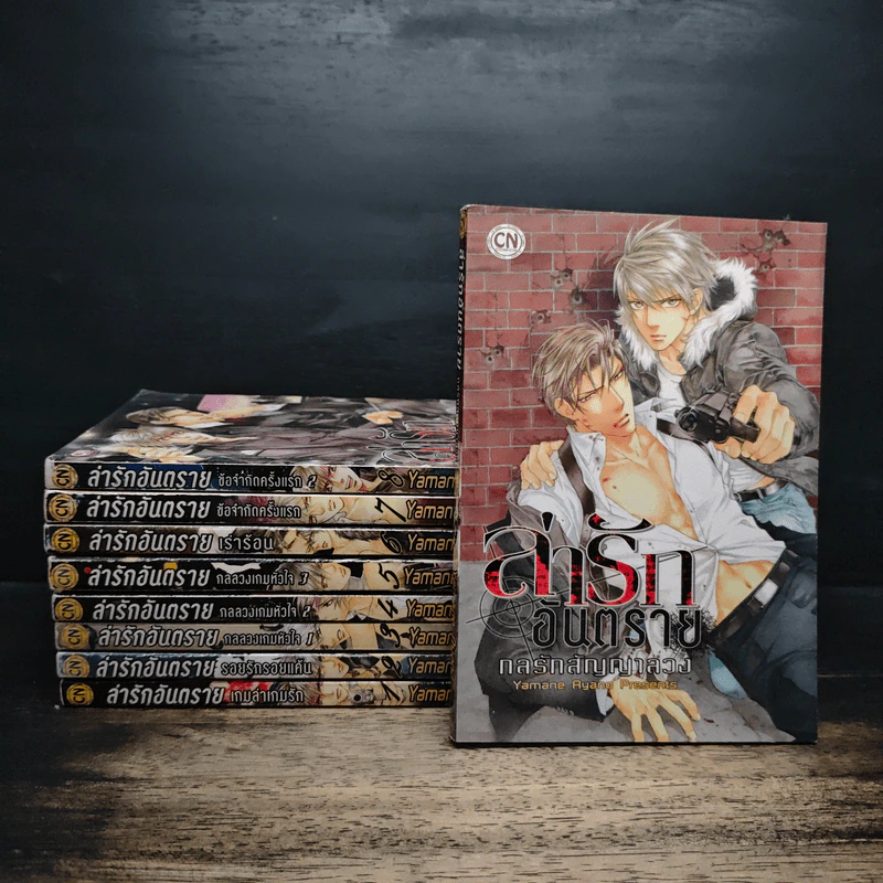 การ์ตูนวาย ล่ารักอันตราย เล่ม 1-9 รูปที่ 1
