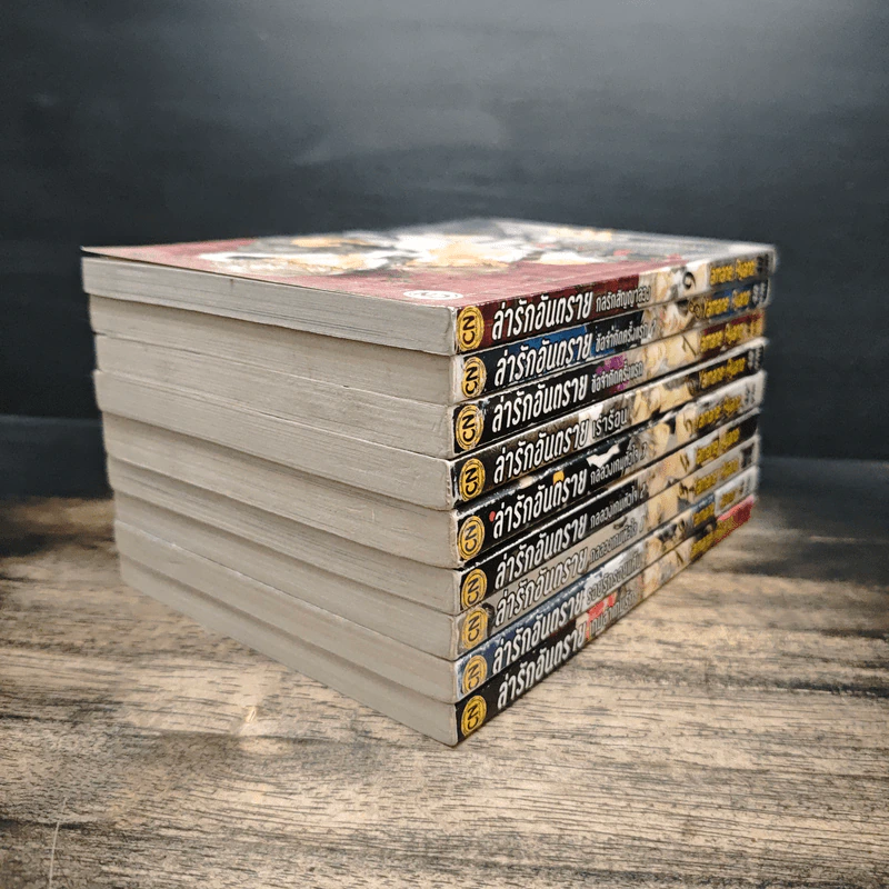 การ์ตูนวาย ล่ารักอันตราย เล่ม 1-9 รูปที่ 4