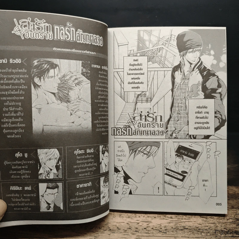 การ์ตูนวาย ล่ารักอันตราย เล่ม 1-9 รูปที่ 6