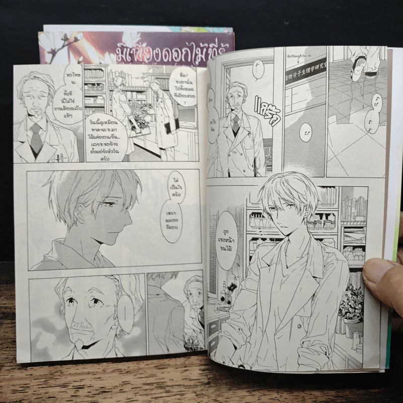 การ์ตูนวาย มีเพียงดอกไม้ที่รู้ 3 เล่มจบ รูปที่ 7