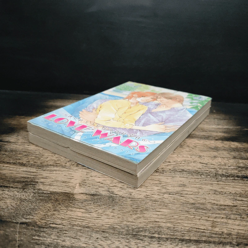 การ์ตูนวาย สงครามความรัก Love Wars 2 เล่มจบ รูปที่ 4