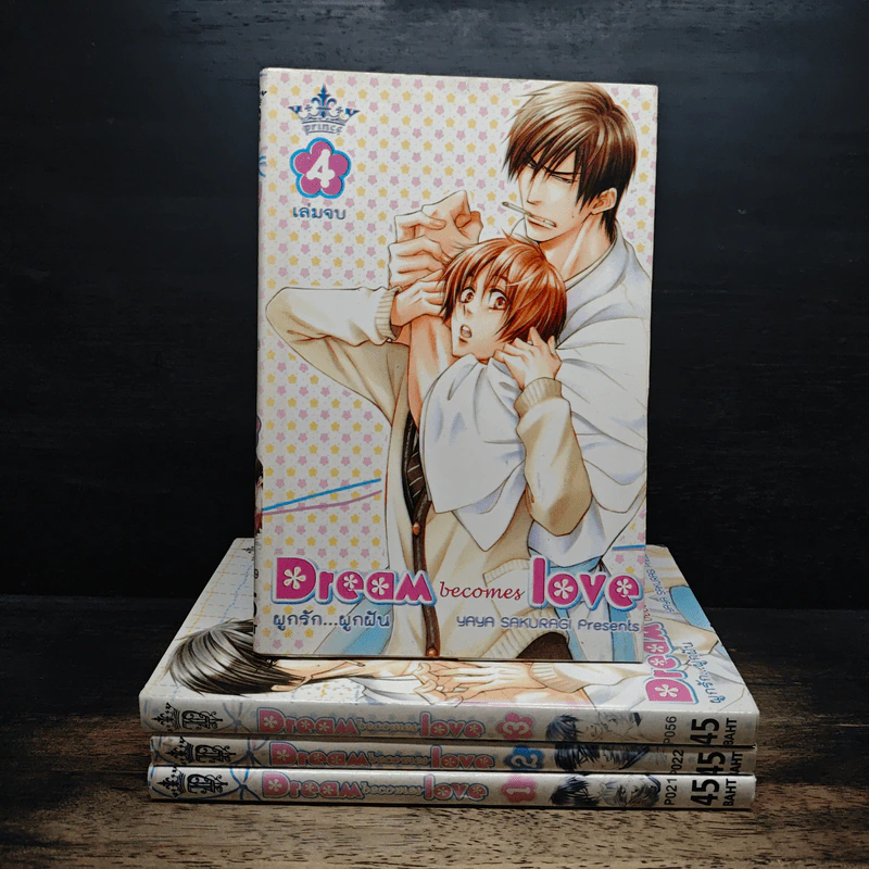 Dream becomes Love ผูกรัก...ผูกฝัน 4 เล่มจบ รูปที่ 1