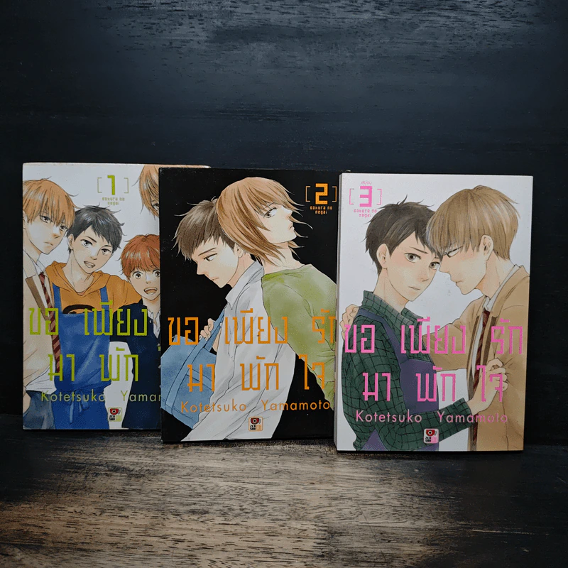 การ์ตูนวาย ขอเพียงรักมาพักใจ 3 เล่มจบ รูปที่ 1