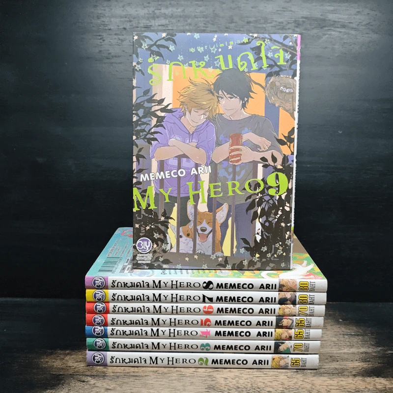 การ์ตูนวาย รักหมดใจ My Hero เล่ม 2-9 - Memeco Arii รูปที่ 1
