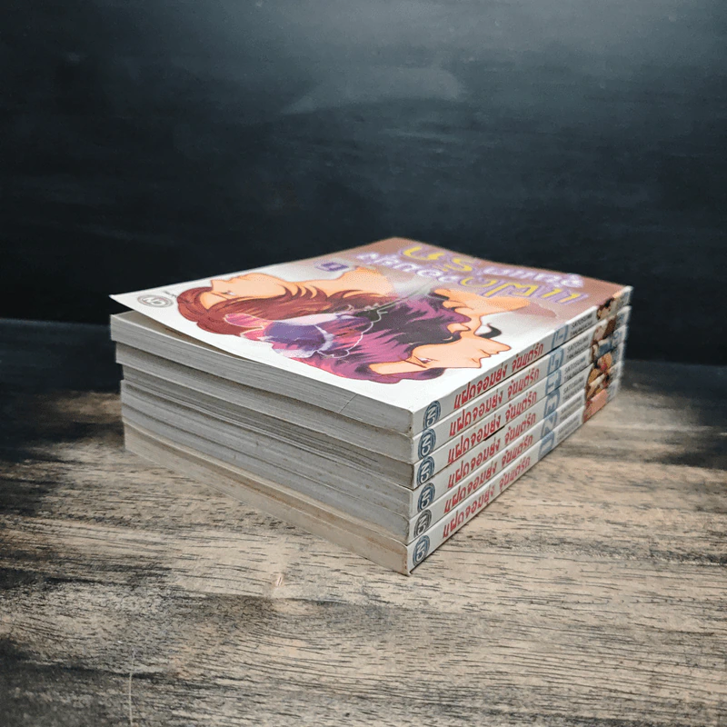 แฝดจอมยุ่งจุ้นแต่รัก เล่ม 1-6 รูปที่ 4