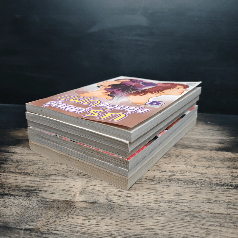 แฝดจอมยุ่งจุ้นแต่รัก เล่ม 1-6 รูปที่ 3